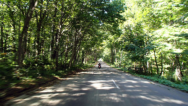 国道３４２号線の景色